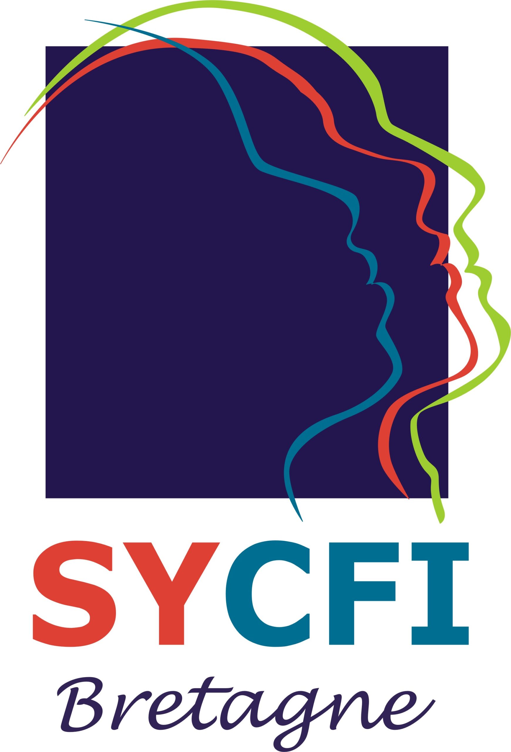 21 logo_SYCFI