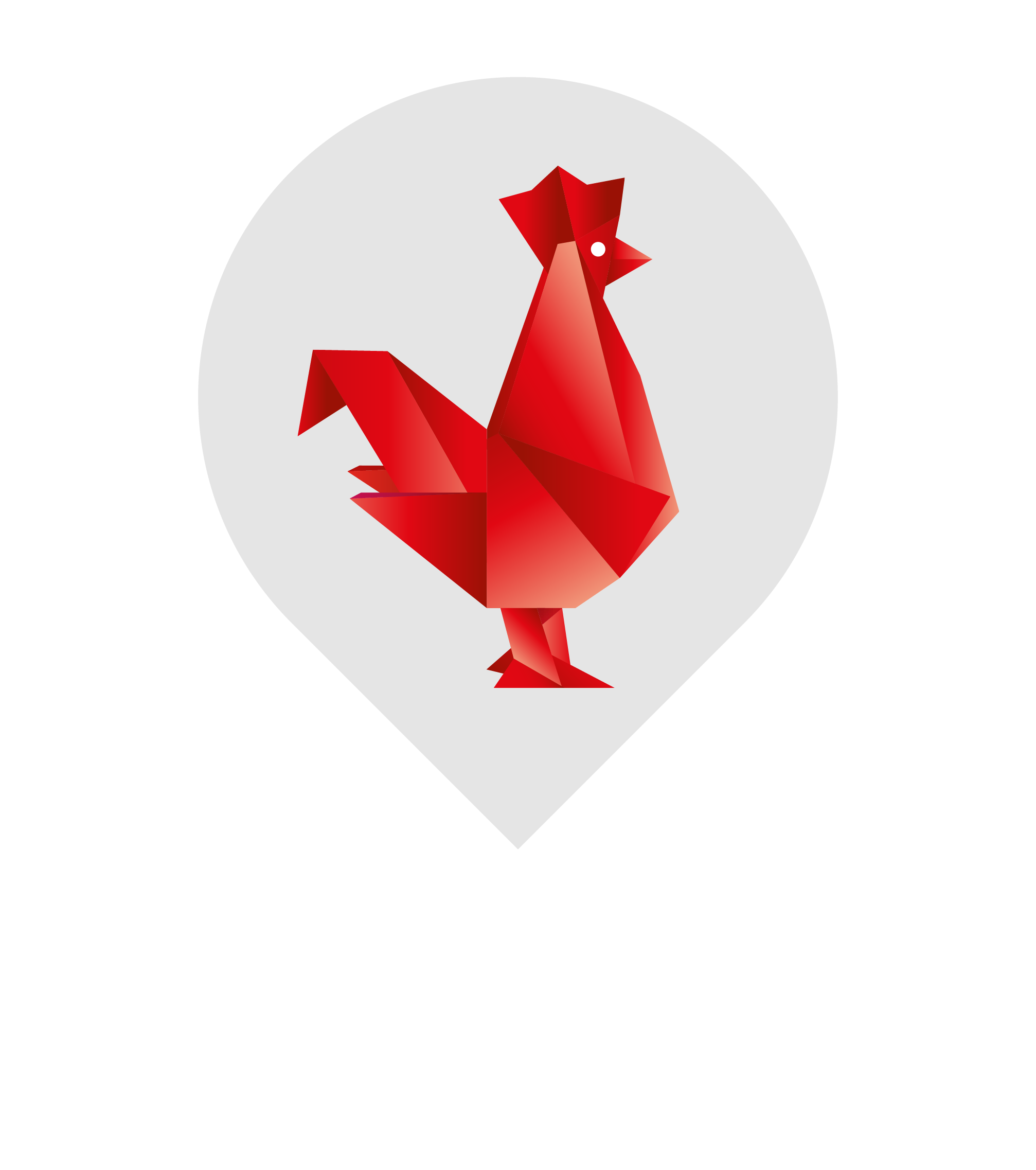 LOGO_FT_MORBIHAN_Logo_Blanc