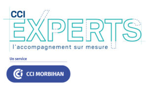 CCI Experts